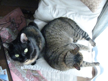 f:id:damechan65:20111230005609j:image f:id:damechan65:20111230005609j:image