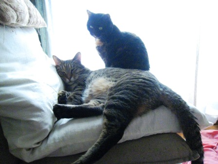 f:id:damechan65:20111230005610j:image f:id:damechan65:20111230005610j:image