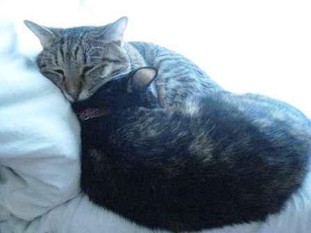 f:id:damechan65:20111230005611j:image f:id:damechan65:20111230005611j:image