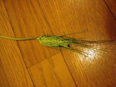 f:id:damechan65:20120320231305j:image