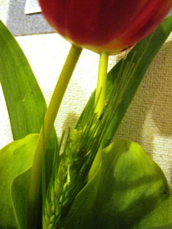 f:id:damechan65:20120320231306j:image