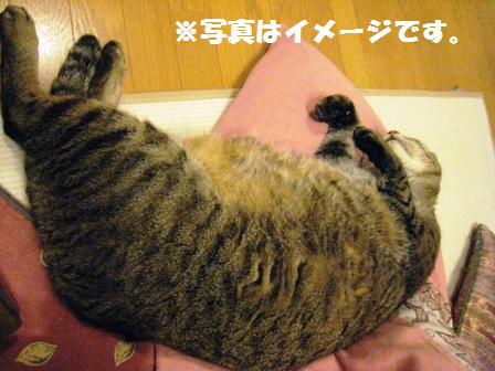 f:id:damechan65:20120320231310j:image