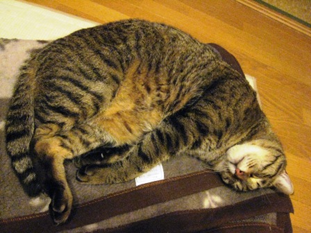 f:id:damechan65:20120324235456j:image