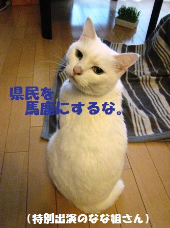 f:id:damechan65:20120422105929j:image