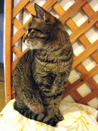 f:id:damechan65:20120422105932j:image