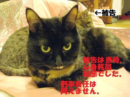 f:id:damechan65:20120422112045j:image