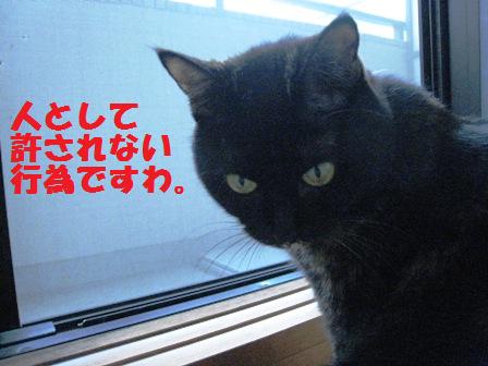 f:id:damechan65:20120506001202j:image