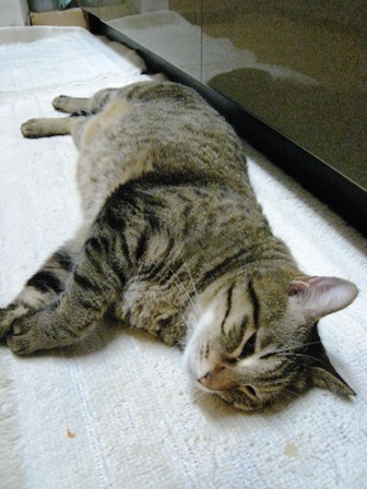 f:id:damechan65:20120506001203j:image f:id:damechan65:20120506001203j:image