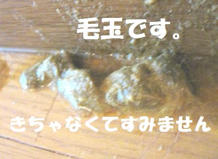 f:id:damechan65:20120506001204j:image f:id:damechan65:20120506001204j:image