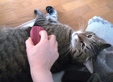 f:id:damechan65:20120506001206j:image f:id:damechan65:20120506001206j:image