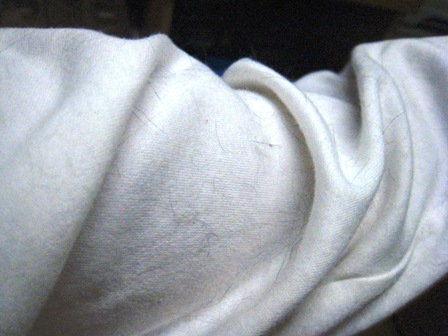 f:id:damechan65:20120506001210j:image f:id:damechan65:20120506001210j:image