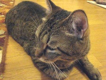 f:id:damechan65:20120506001211j:image f:id:damechan65:20120506001211j:image