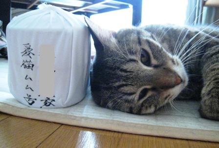 f:id:damechan65:20120701023538j:image