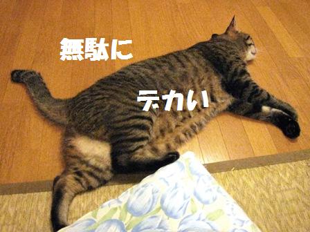 f:id:damechan65:20120909015358j:image