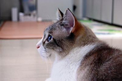 f:id:damechan65:20120909015359j:image