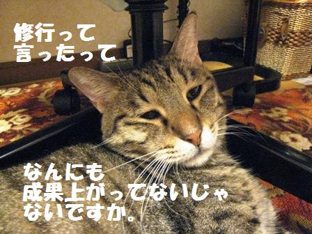 f:id:damechan65:20120915104125j:image