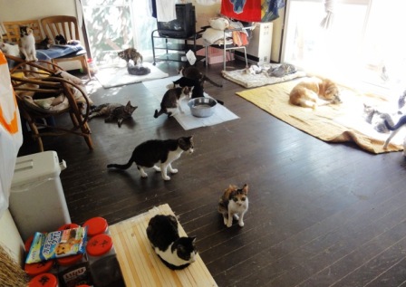 f:id:damechan65:20120915172021j:image