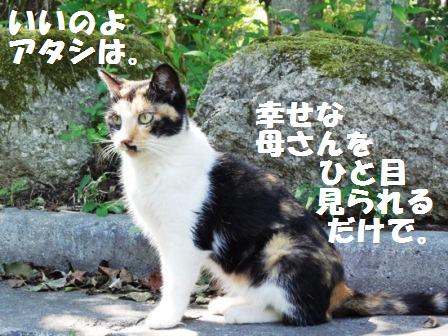 f:id:damechan65:20120915172230j:image