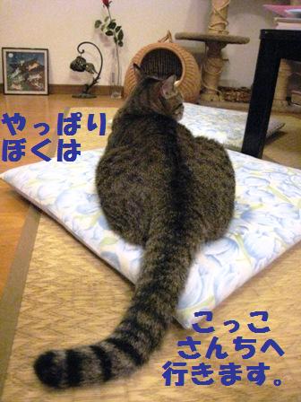 f:id:damechan65:20121006090409j:image f:id:damechan65:20121006090409j:image