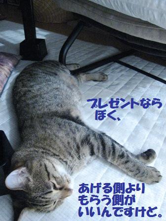 f:id:damechan65:20121204001056j:image