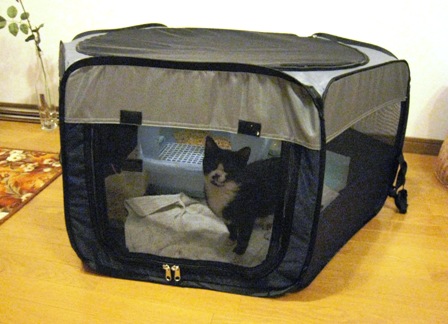 f:id:damechan65:20130128004050j:image