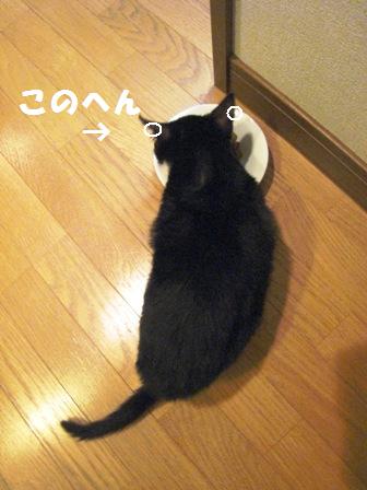 f:id:damechan65:20130128004652j:image