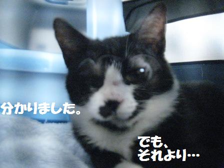 f:id:damechan65:20130131174227j:image