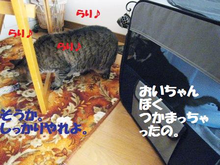 f:id:damechan65:20130131174229j:image