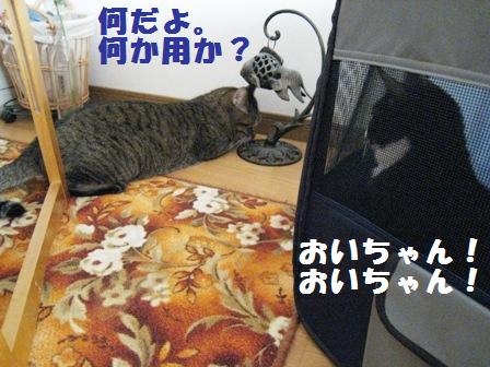 f:id:damechan65:20130131174233j:image