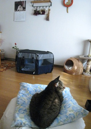 f:id:damechan65:20130131174338j:image