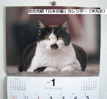 f:id:damechan65:20130131174339j:image