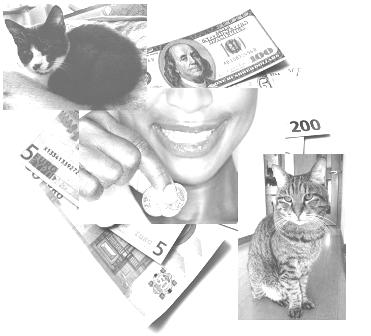 f:id:damechan65:20130202021912j:image:w500