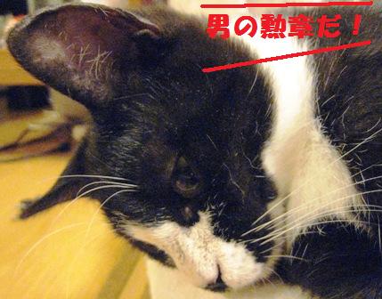 f:id:damechan65:20130415003308j:image