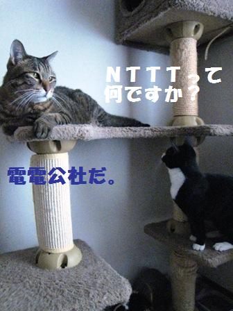 f:id:damechan65:20130609232546j:image