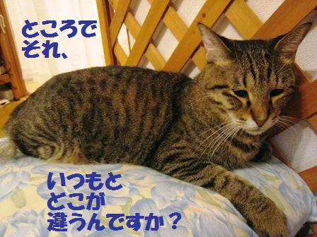 f:id:damechan65:20131006232643j:image