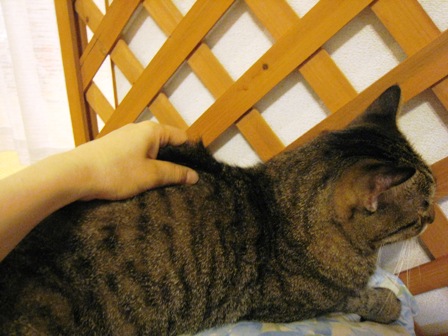 f:id:damechan65:20131006232645j:image