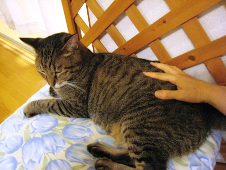 f:id:damechan65:20131006232646j:image