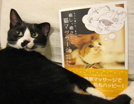 f:id:damechan65:20131006232648j:image