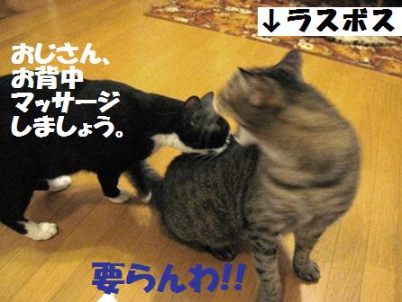 f:id:damechan65:20131006232656j:image