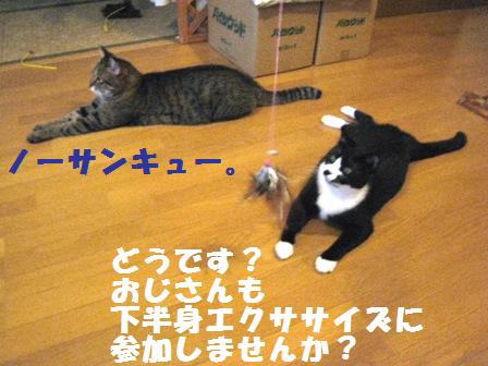 f:id:damechan65:20131013111436j:image