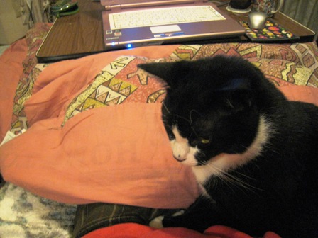 f:id:damechan65:20131118005255j:image