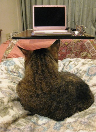 f:id:damechan65:20131118005259j:image