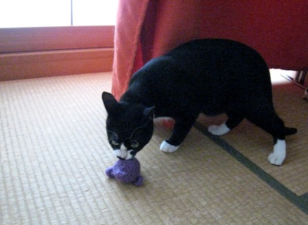 f:id:damechan65:20131231081131j:image