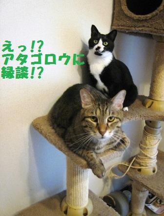 f:id:damechan65:20140914005316j:image