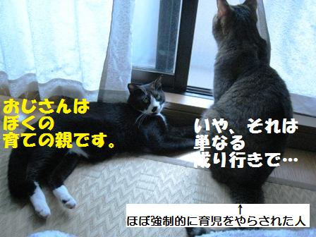 f:id:damechan65:20140914005317j:image