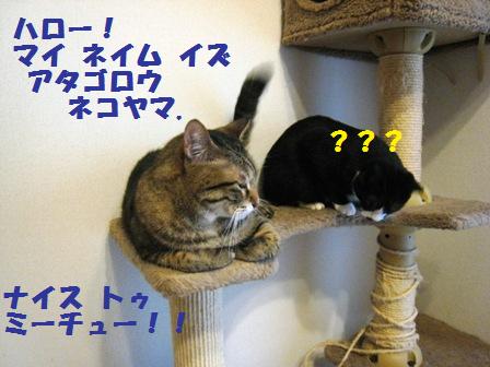 f:id:damechan65:20140914005323j:image