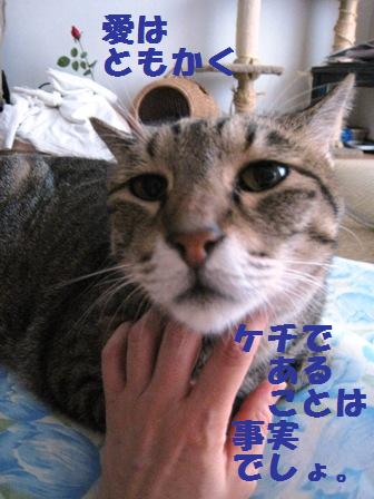 f:id:damechan65:20141005175617j:image