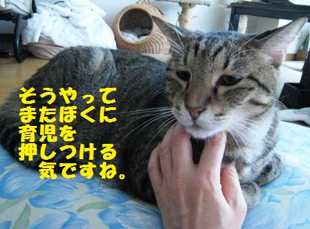 f:id:damechan65:20141019122748j:image f:id:damechan65:20141019122748j:image