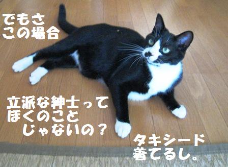 f:id:damechan65:20141019122749j:image f:id:damechan65:20141019122749j:image