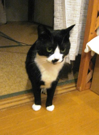 f:id:damechan65:20150103213950j:image